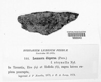 Image Associated With the Occurence